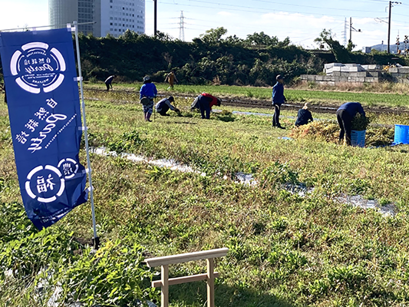 農福連携小農活動　鹿児島　「自然栽培パーティ」全国フォーラム　ワーカーズ国分ほのぼの農園で作業